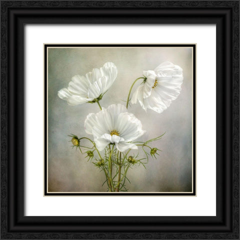 Cosmos Charm Black Ornate Wood Framed Art Print with Double Matting by Disher, Mandy