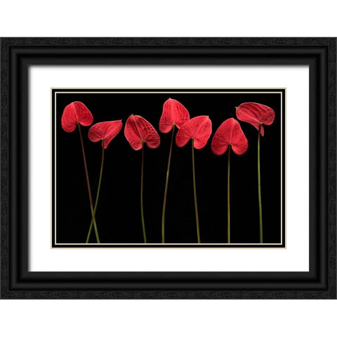 Botanical Hearts Black Ornate Wood Framed Art Print with Double Matting by Barbu, Floriana