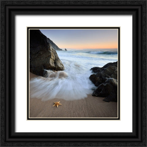 Summer Flux Black Ornate Wood Framed Art Print with Double Matting by Dias, Paulo