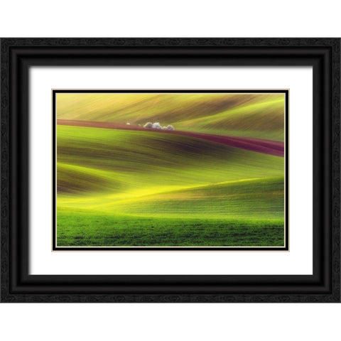 Golden Fields Black Ornate Wood Framed Art Print with Double Matting by Krol, Piotr