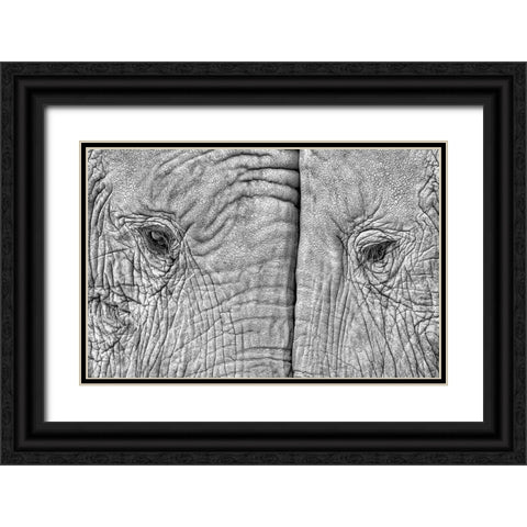 Two Elephants Black Ornate Wood Framed Art Print with Double Matting by Luis Duran, Juan