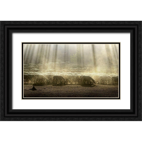 Herd Sheep In The Forest Black Ornate Wood Framed Art Print with Double Matting by Georgiev, Deyan