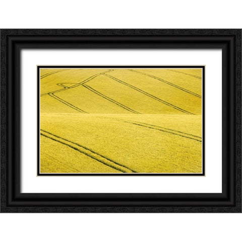 Field #2 Black Ornate Wood Framed Art Print with Double Matting by Collie, Clive