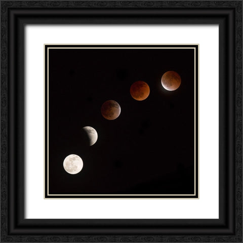Moon At Play Black Ornate Wood Framed Art Print with Double Matting by Ianulionoc, Vadim