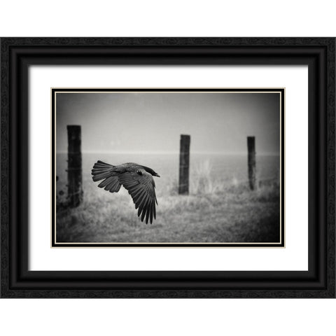 The Day Of The Raven Black Ornate Wood Framed Art Print with Double Matting by Droste, Holger