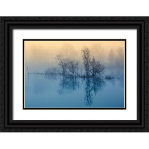 Morning Reflection Black Ornate Wood Framed Art Print with Double Matting by Butali, David