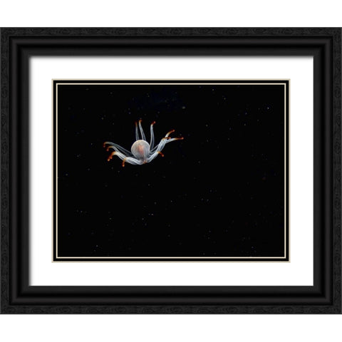Alien Black Ornate Wood Framed Art Print with Double Matting by Barchana, Dani