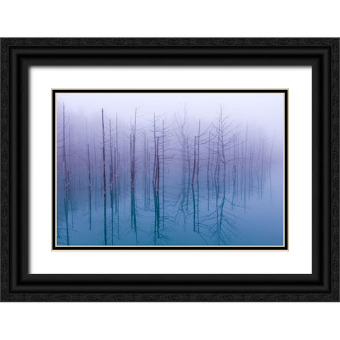Misty Blue Pond Black Ornate Wood Framed Art Print with Double Matting by Asami, Osamu