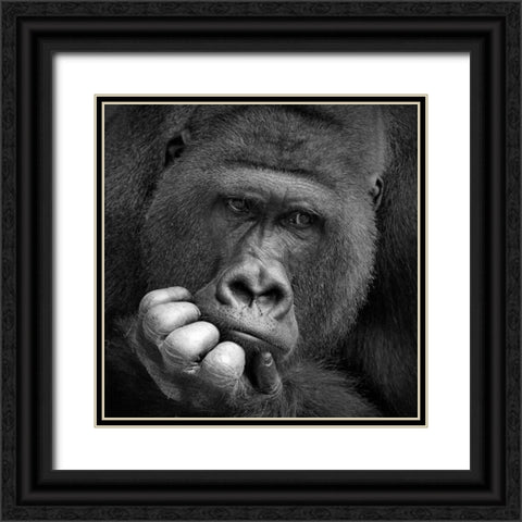 I Had A Dream Black Ornate Wood Framed Art Print with Double Matting by Wenner-Braun, Antje