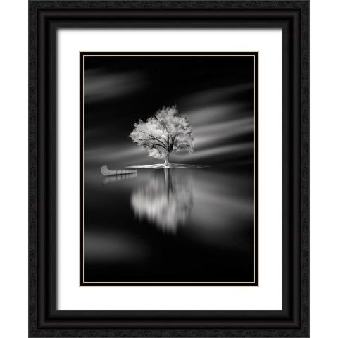 Quiet Black Ornate Wood Framed Art Print with Double Matting by David Senechal Photographie
