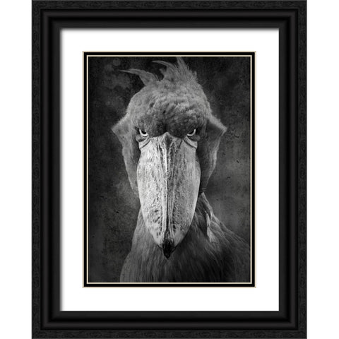 Angry Bird Black Ornate Wood Framed Art Print with Double Matting by Lehto, Timo