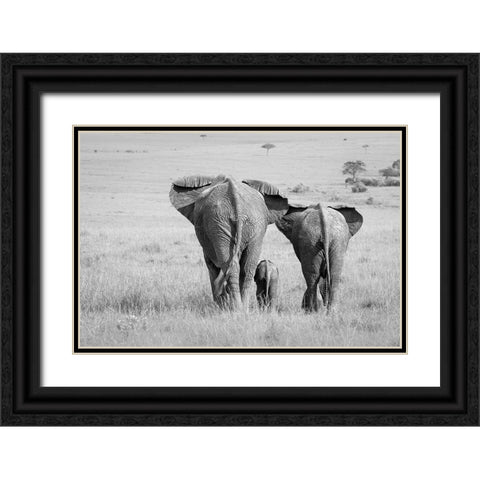 Three Butts! Black Ornate Wood Framed Art Print with Double Matting by Khataw, Ali