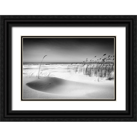 Orchestra Black Ornate Wood Framed Art Print with Double Matting by Cirulis, Reinis