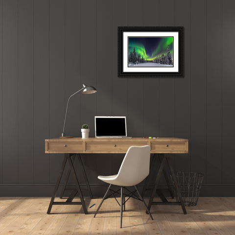 Aurora Black Ornate Wood Framed Art Print with Double Matting by Roemmelt, Dr. Nicholas