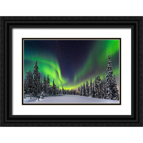 Aurora Black Ornate Wood Framed Art Print with Double Matting by Roemmelt, Dr. Nicholas