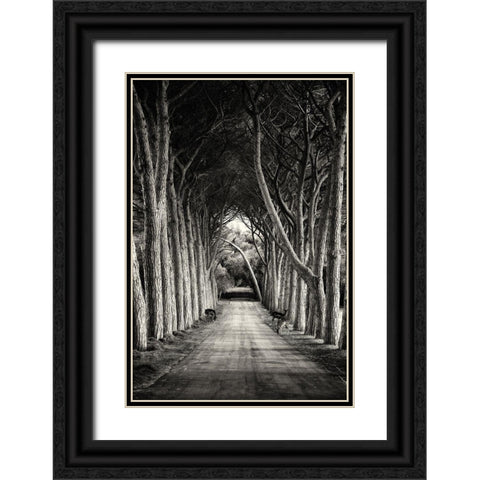 Untitled Black Ornate Wood Framed Art Print with Double Matting by Stimac, Sandra