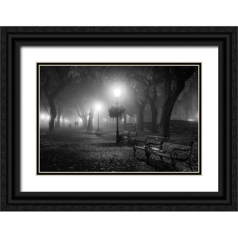 Foggy Day Black Ornate Wood Framed Art Print with Double Matting by Nikoloulis, Ilias