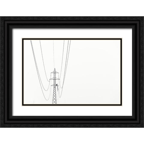 Balance Black Ornate Wood Framed Art Print with Double Matting by Rems, Kristjan
