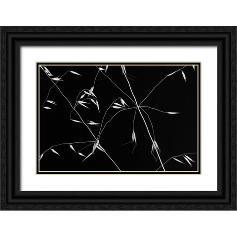 Crossed Lines Black Ornate Wood Framed Art Print with Double Matting by Azevedo, Olavo