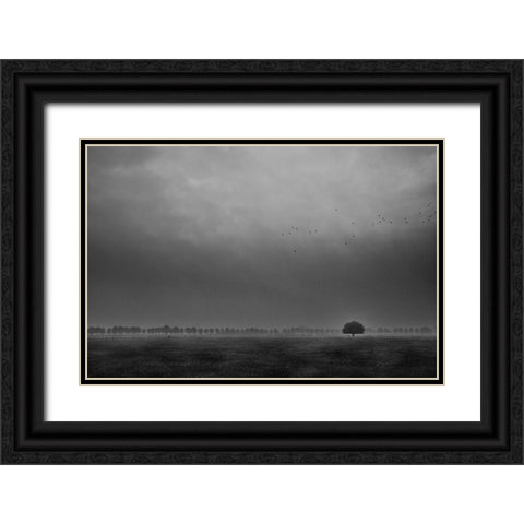 Solitaire Black Ornate Wood Framed Art Print with Double Matting by Hageman, Michiel