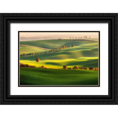 Green Fields Black Ornate Wood Framed Art Print with Double Matting by Krol, Piotr