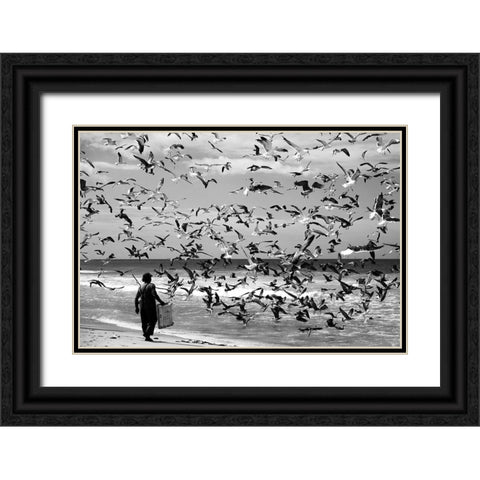 Birds Birds Black Ornate Wood Framed Art Print with Double Matting by Van Der, Liesbeth