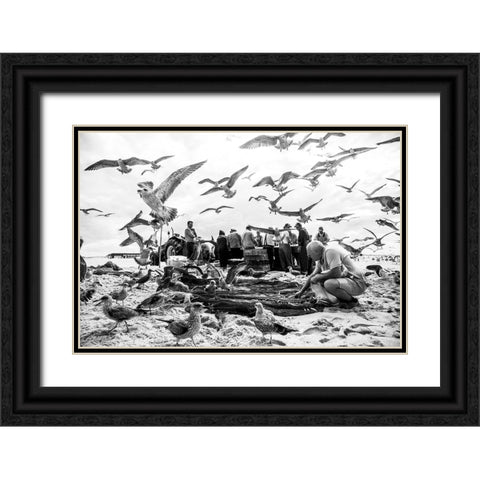 Birds Black Ornate Wood Framed Art Print with Double Matting by van der, Liesbeth
