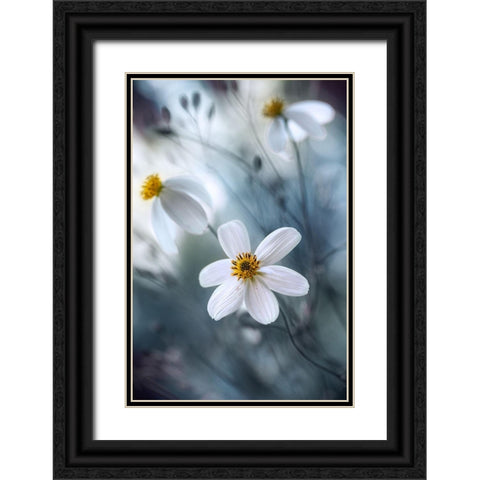 Cosmos Black Ornate Wood Framed Art Print with Double Matting by Disher, Mandy