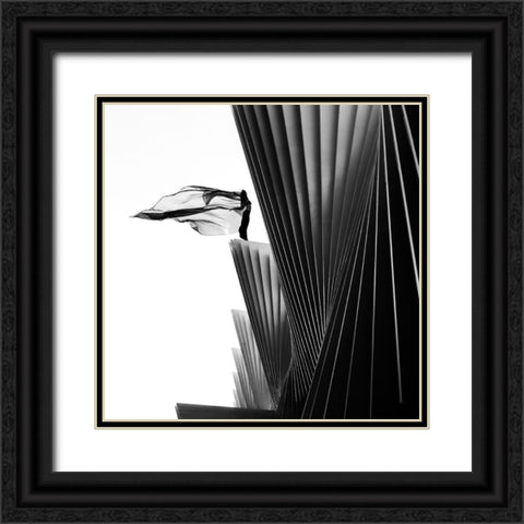 On The Edge Black Ornate Wood Framed Art Print with Double Matting by Odorizzi, Patrick