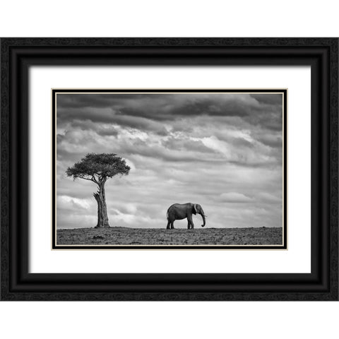 Elephant Landscape Black Ornate Wood Framed Art Print with Double Matting by Moreno, Mario