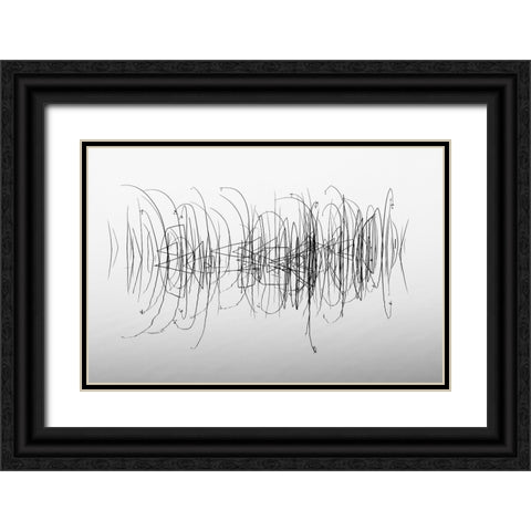 Graphic Black Ornate Wood Framed Art Print with Double Matting by Pettersson, Benny