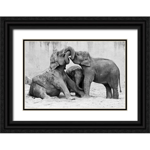 Ma?Nage A? Trois Black Ornate Wood Framed Art Print with Double Matting by Wenner-Braun, Antje