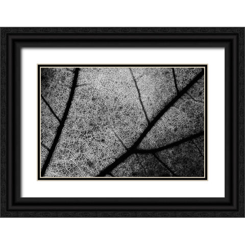 Streets Black Ornate Wood Framed Art Print with Double Matting by Chiarello, Matteo