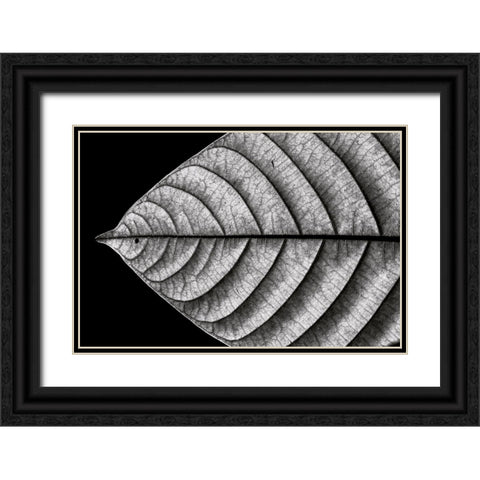 Dry Fish Black Ornate Wood Framed Art Print with Double Matting by J. Bhange, Nilesh