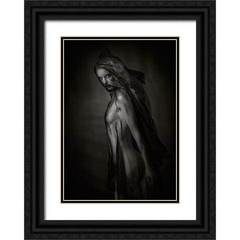 Sheer Black Black Ornate Wood Framed Art Print with Double Matting by Catchlight Studio