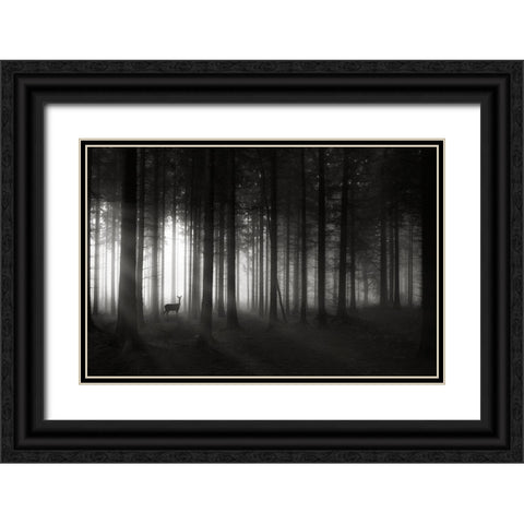 Deer`S Morning Black Ornate Wood Framed Art Print with Double Matting by Hessel, Christoph