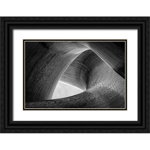 Entwined Black Ornate Wood Framed Art Print with Double Matting by Pfeiffer, Peter