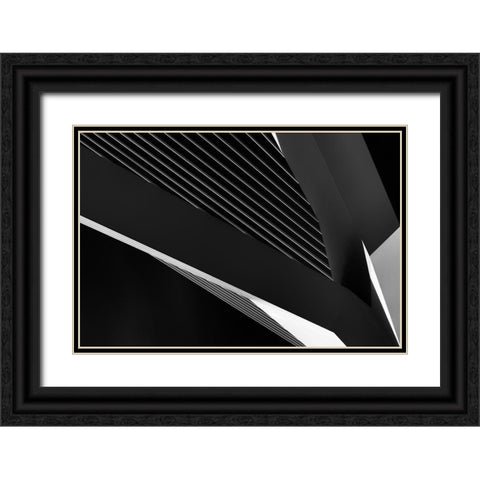 Abstraction Of A Swan Black Ornate Wood Framed Art Print with Double Matting by Van De, Jeroen