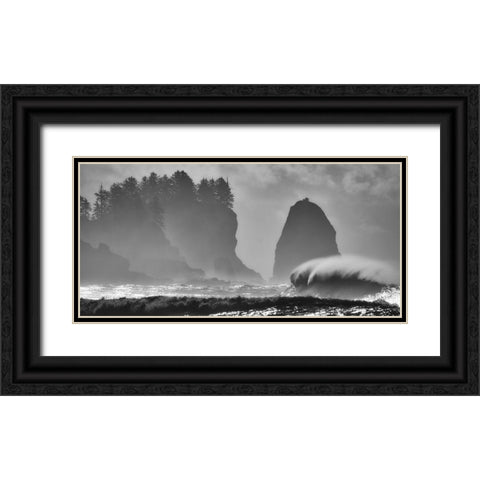 F U R Y Black Ornate Wood Framed Art Print with Double Matting by Turgeon, Alain