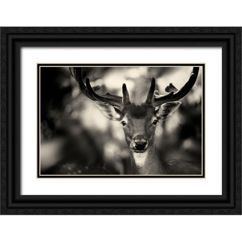 Bambi Black Ornate Wood Framed Art Print with Double Matting by Stimac, Sandra