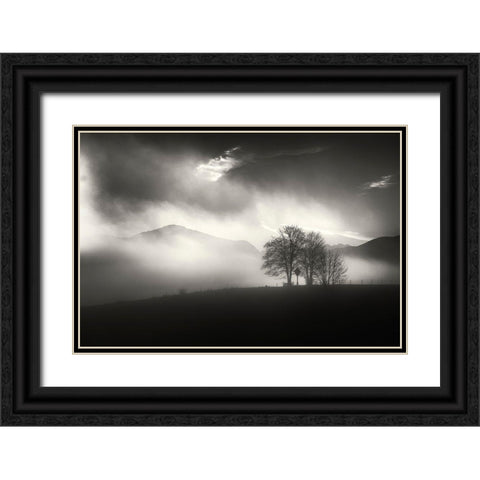 Morning Mood Black Ornate Wood Framed Art Print with Double Matting by Pauli, Nina