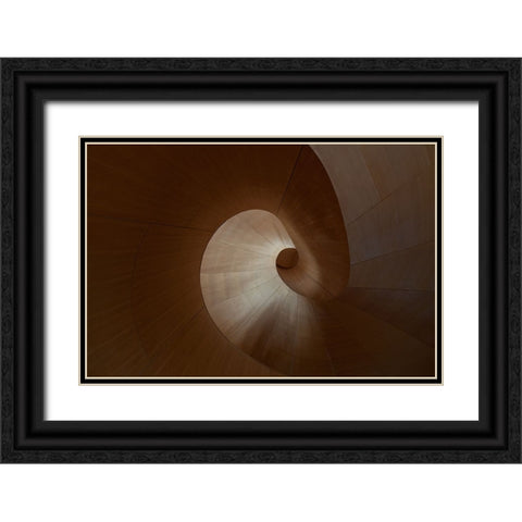 Spiral Black Ornate Wood Framed Art Print with Double Matting by Bonadio, Heather