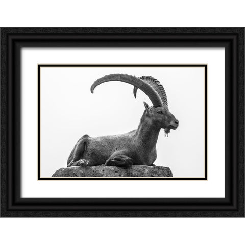 Resting Black Ornate Wood Framed Art Print with Double Matting by Graf, Sebastian
