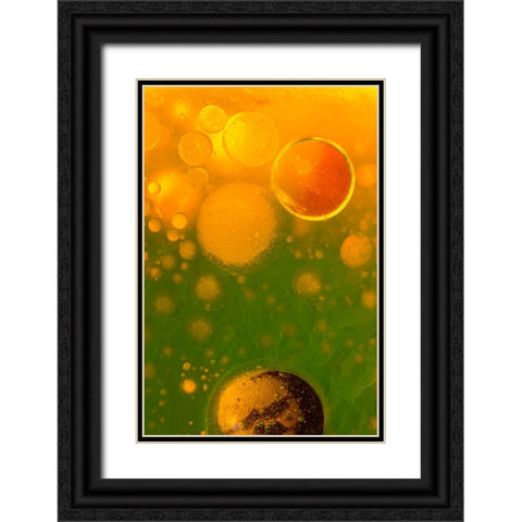 Spring Fantasy Black Ornate Wood Framed Art Print with Double Matting by Bosogea-Tudor, Ileana