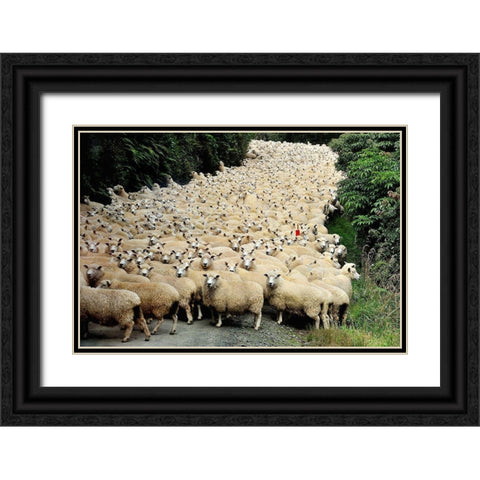 New Zealand Traffic Jam Black Ornate Wood Framed Art Print with Double Matting by Tzur, Yair