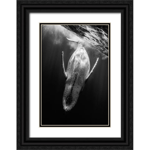 Black A Whale Black Ornate Wood Framed Art Print with Double Matting by Gabriel, Barathieu