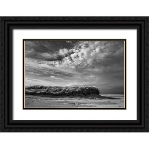 Untitled Black Ornate Wood Framed Art Print with Double Matting by van der, Liesbeth
