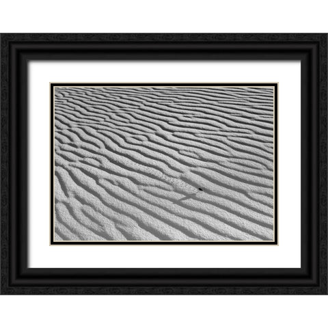 The Long Journey Black Ornate Wood Framed Art Print with Double Matting by Skilbeck, Christian