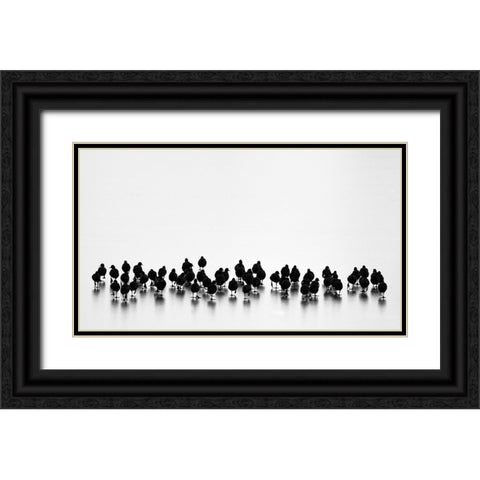 Eurasian Coots Black Ornate Wood Framed Art Print with Double Matting by Vasilev, Yordan