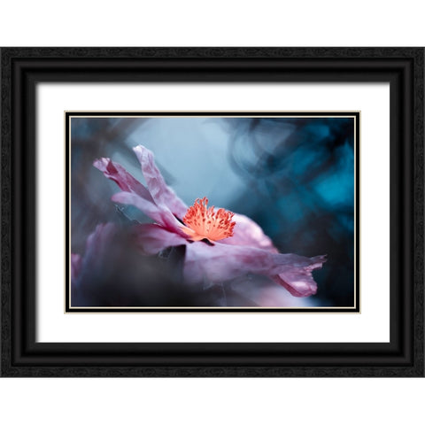 Even Flowers Have Stories To Tell Black Ornate Wood Framed Art Print with Double Matting by BRAVIN, Fabien